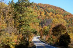 Hwy 282 During Fall