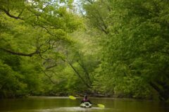 Kayaking in Tallapoosa (from Haralson Chamber)